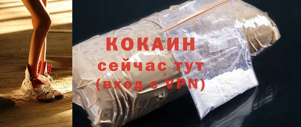 mdpv Богородицк