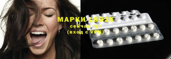 PSILOCYBIN Богданович