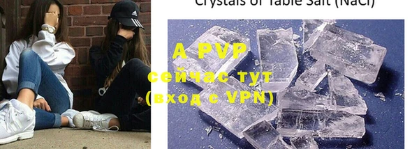 mdpv Богородицк