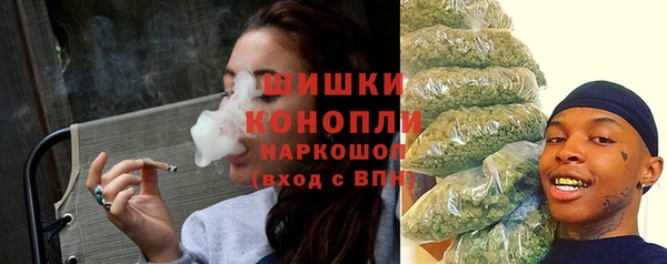 PSILOCYBIN Богданович