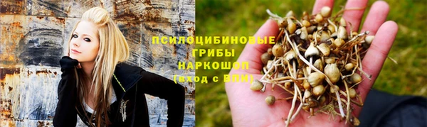 PSILOCYBIN Богданович