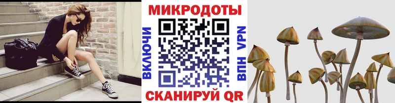 Псилоцибиновые грибы Magic Shrooms  Батайск 